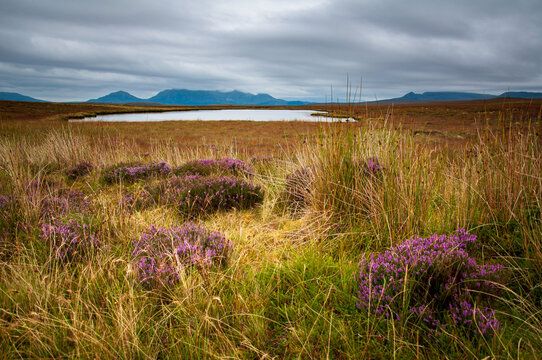 Looking across the Flow Country in northern Scotland towards Ben Loyal. It's the most intact and extensive blanket bog system in the world.