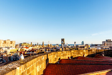 Fototapeta na wymiar Seagull and the view at the gothic quarter and Mediterranean Sea in Barcelona from the roof of the gothic cathedral in Barcelona, Catalonbia, Spain, Europe
