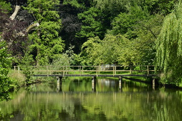 Fototapeta na wymiar L'un des ponts traversant l'étang sous la végétation luxuriante et bucolique au Vrijbroekpark à Malines 