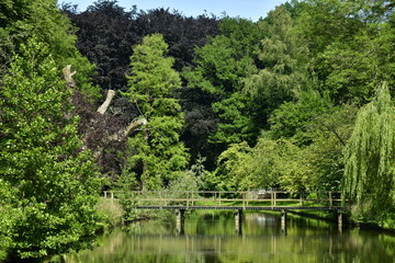 Fototapeta na wymiar L'un des ponts traversant l'étang sous la végétation luxuriante et bucolique au Vrijbroekpark à Malines 