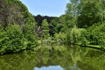 Fototapeta na wymiar Bout de l'étang principal sous la végétation bucolique et luxuriante au Vrijbroekpark à Malines 