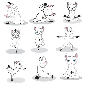 Liama Yoga Funny Vector Illustration