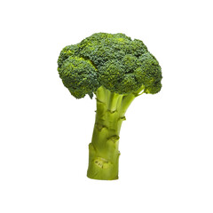 Broccoli pepper isolated on a white background.