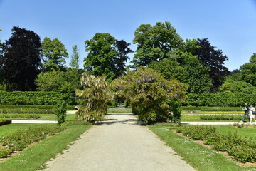 Les arches de feuillage brunes au dessus de l'allée transversale à la roseraie au Vrijbroekpark à Malines 