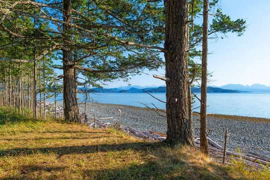 Landscape along hike in Rebecca Spit Marine Provincial Park, Quadra Island, Vancouver Island, BC, Canada.