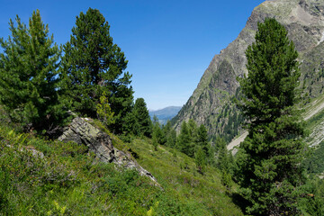 View from high in the mountains towards summits and forest into the blue sky