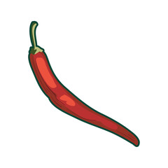 chili pepper illustration