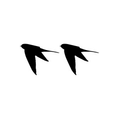 Pair of the Flying Swallow Bird Silhouette for Logo, Pictogram, Website. Art Illustration or Graphic Design Element. Vector Illustration