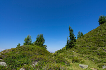 Endless view from high up towards the blue sky 