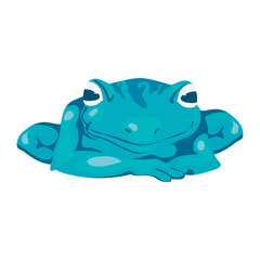 blue frog design