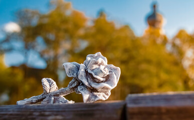Details of a beautiful stone rose with a monastery at the famous Hoeglwoerther See lake,...