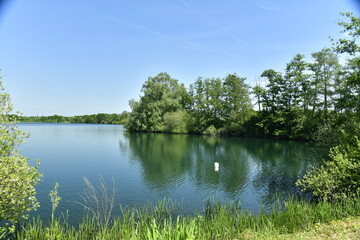 La végétation luxuriante des berges du lac au domaine de Nekker à Malines 