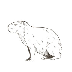 retro capybara design