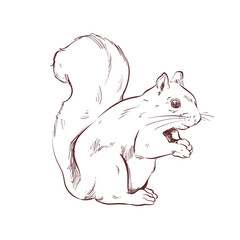 retro squirrel design