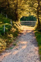 Naklejka premium Beautiful alpine summer view with a natural frame at the famous Hoeglwoerther See lake, Berchtesgadener Land, Bavaria, Germany