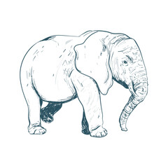 retro elephant design