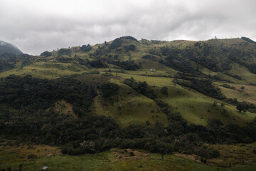 Fototapeta na wymiar Deep in Colombia wilderness and soil. Very different to what I am use to in the Sates