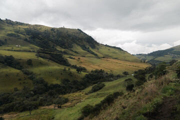 Naklejka premium Deep in Colombia wilderness and soil. Very different to what I am use to in the Sates