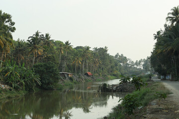 Tropical river in India 