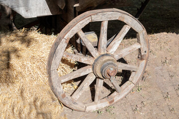 Old Wooden Wheel of Ancient Wagon Close Up