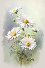 bouquet of daisies. Illustration - Plants and flowers