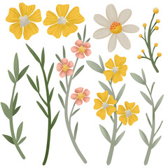 Flower collection with leaves, floral spring set. Cartoon yellow flowers on transparent background. Happy Easter. Folk style.