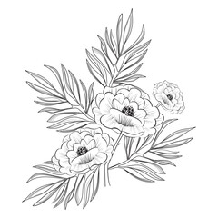 flowers outline. Sketch of tropical flowers and leaves. Vector illustration,
Cultural flowers, flower tattoo sketch, floral bouquet, hand drawn wedding grass branch, plant minimalism