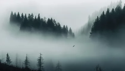 Afwasbaar Fotobehang Mistig bos Foggy and minimalist landscape and background with grey color, beautiful park atmosphere, foggy morning in the forest, ai generated