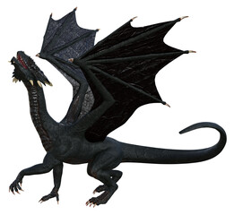 Naklejka premium Illustration of a massive black dragon with head up and wings high isolated on a white background.
