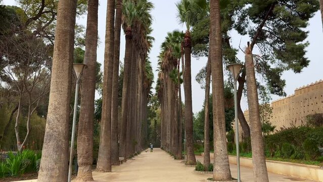 Jnan Sbil garden in the old town of Fez, Morocco