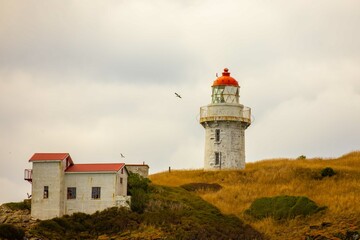 Fototapeta na wymiar Taiaroa Head Lighthouse