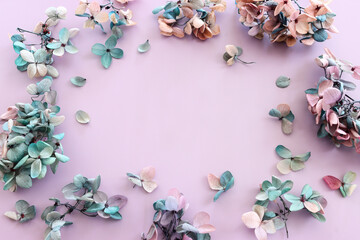 Top view image of colorful Hydrangea flowers over purple pastel background .Flat lay