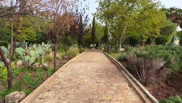 Jnan Sbil garden in the old town of Fez, Morocco