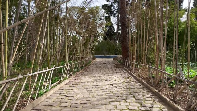 Jnan Sbil garden in the old town of Fez, Morocco