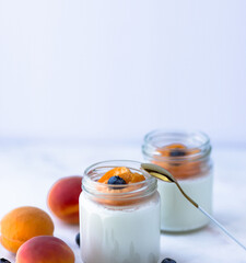 Homemade yogurt with apricot and blueberries. Space for text. Banner