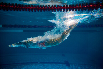 Diving into water. Professional female swimmer training in swimming pool indoor. Underwater view....