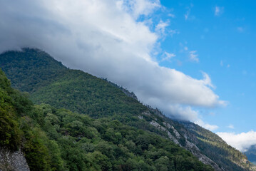 Mountains and forests of Abkhazia.