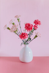 Beautiful pink and white Carnation flowers on a pink pastel background.