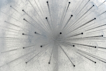 Details spherical fountain spraying water close up. Transparent splash in form ball. Fanshaped structure how dandelion blowball. Gush water and movement drops. Refreshing cool water on hot summer day.