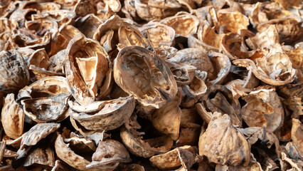 Nut shell. Empty walnut shell background. Texture of nuts close-up. Selective focus