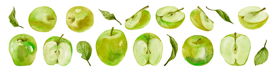 Hand-drawn watercolor illustration set of the green apples fruits. Food drawing isolated on the white background.