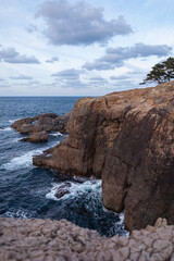 cliffs on the sea