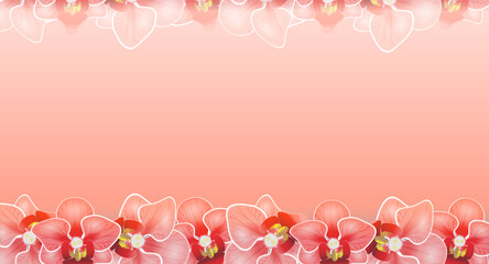 Pink orchids on a pastel pink background as festive for March 8