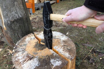 Hands holding a hammer hammer an iron wedge into a log. A pine log cut in half. Preparation of firewood.