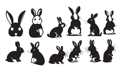 shadow of rabbit  03