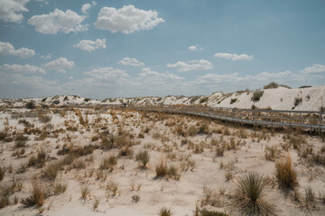 White Sands National Park in New Mexico