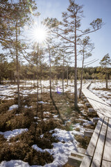 Tourist trail in a peat bog, early spring, Latvia, Baltic states
