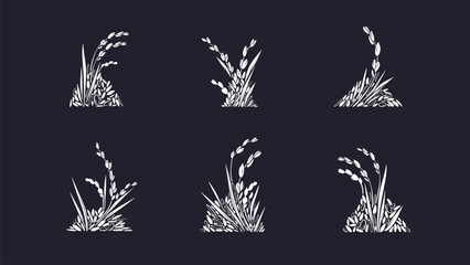 Rice set. Vector white grains, texture plant