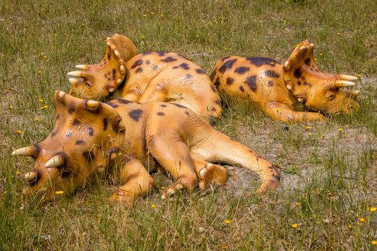 Sarcosuchus Bilder Durchsuchen 57 Archivfotos, und