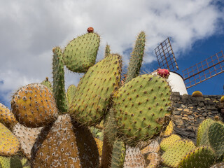 Die Insel Lanzarote in spanien